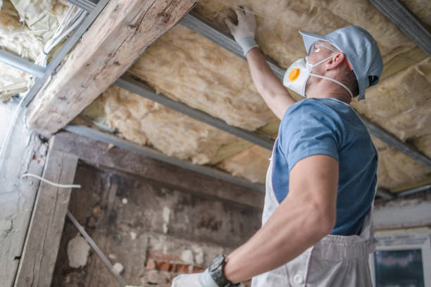 Best Eco-Friendly Insulation in Oak Ridge, NJ